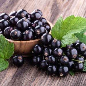 black currants for beer