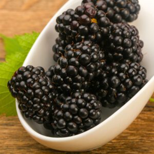 blackberry puree for beer