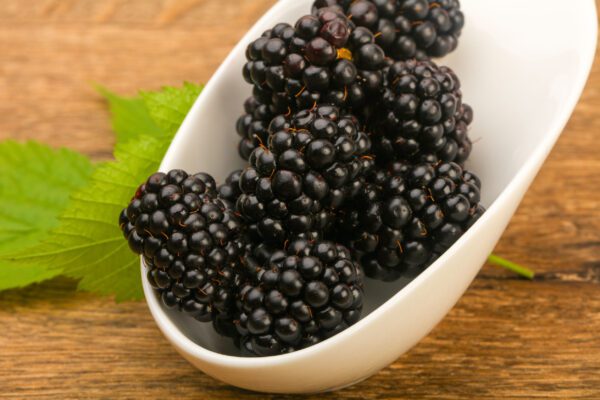 blackberry puree for beer