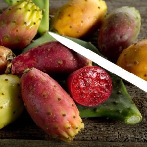 Prickly Pear