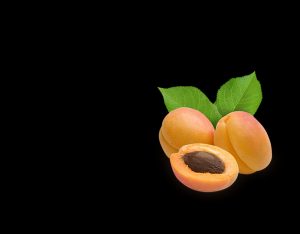 apricot puree