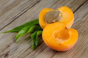 apricot puree for brewing
