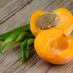 apricot puree for brewing