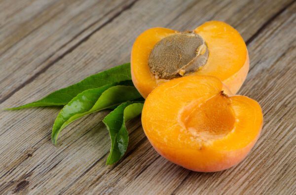 apricot puree for brewing