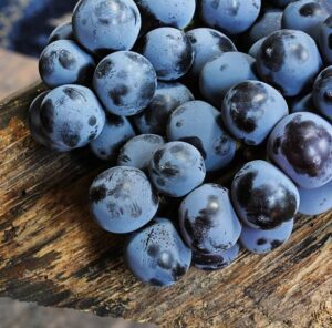 Blueberries for Brewing