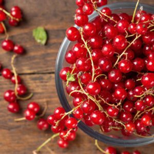 red currant for beer