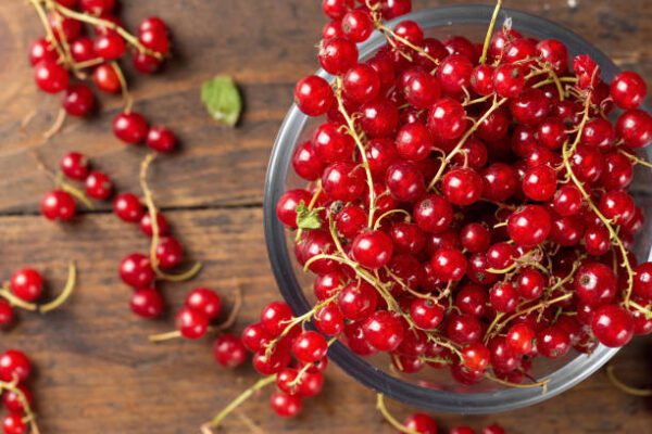 red currant for beer