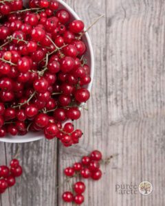 red currant for beer