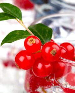 red currant for beer