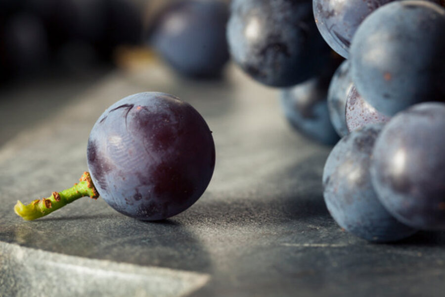 Classic American Concord Grape Fruit Purees