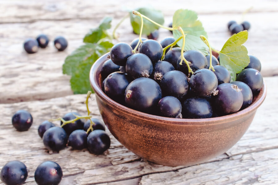 Black Currants: the funky, fruity, feel-good flavor