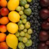 Multi-Coloured Fruit | Puree Arete photo of Multi-Coloured Fruit