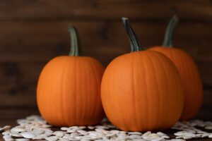 Pie Pumpkin Photo