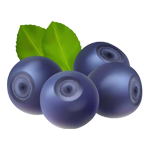 blueberries | Puree Arete blueberry icon