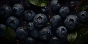 Photo of Fresh All natural blueberries
