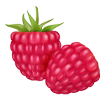raspberries | Puree Arete raspberry icon