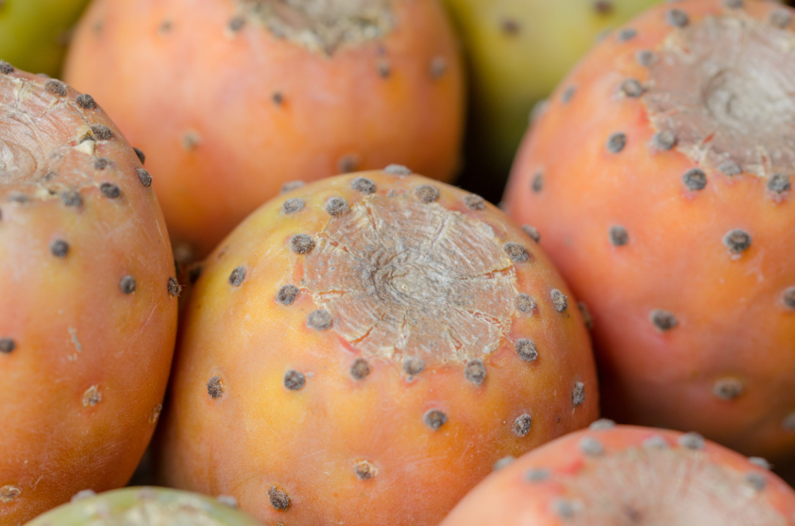 close up of prickly pear fruits photo