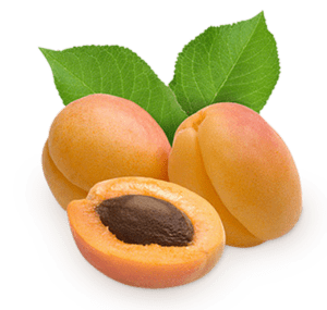 Apricot photo