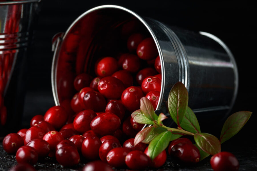 From Massachusetts Bogs to Modern Beverages: The Story of Cranberry