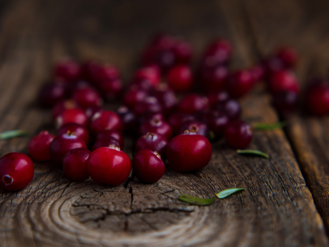 Ripe fresh cranberries on an old wooden table close up | Puree Arete photo of ripe fresh cranberries