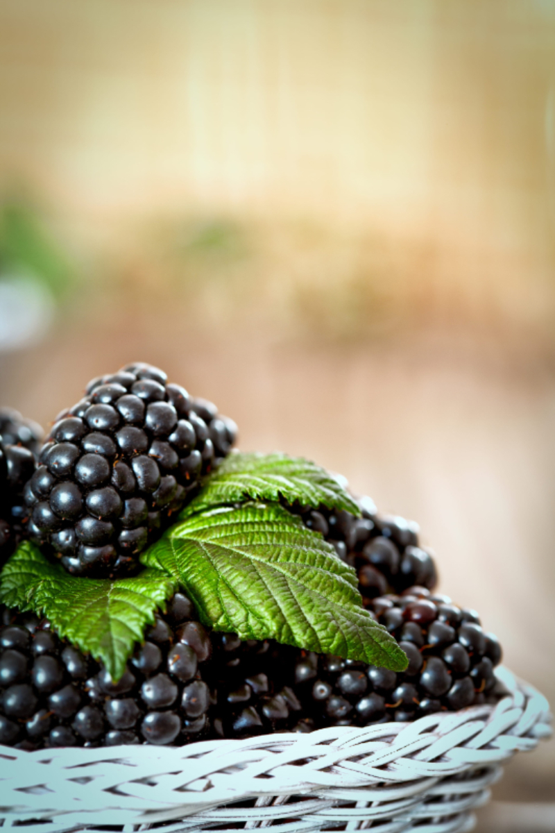 Blackberry with leaves | Puree Arete Fresh blackberries piled in a white wicker basket with bright green leaves, close-up.